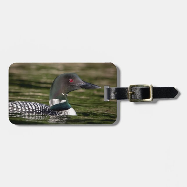 Common Loon on Jabe Pond Luggage Tag (Front Horizontal)