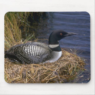Common Loon on nest Mouse Mat