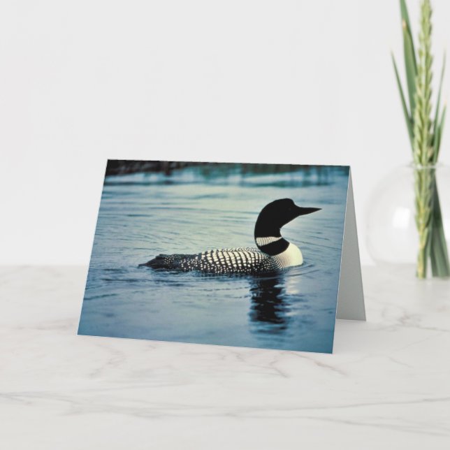 Common Loon on Water Card (Front)
