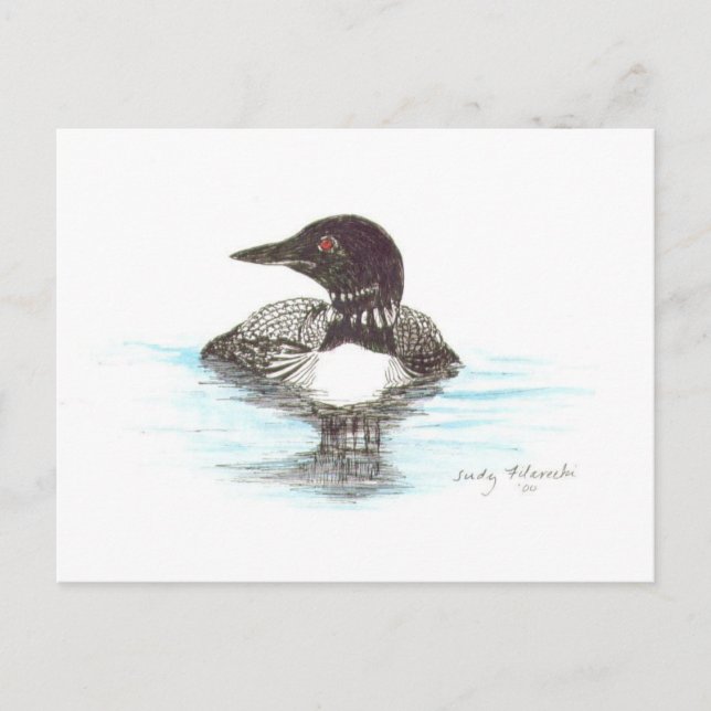 Common Loon Postcard (Front)