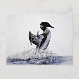 Common loon postcard