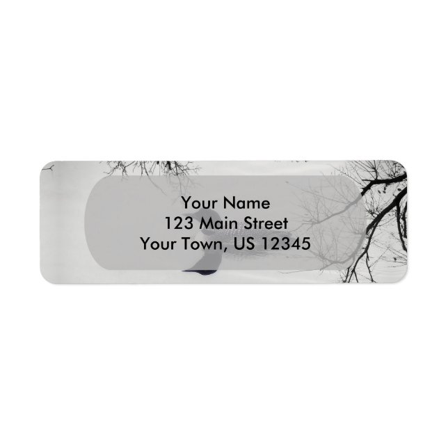 Common Loon Swims in a Northern Lake in Winter (Front)