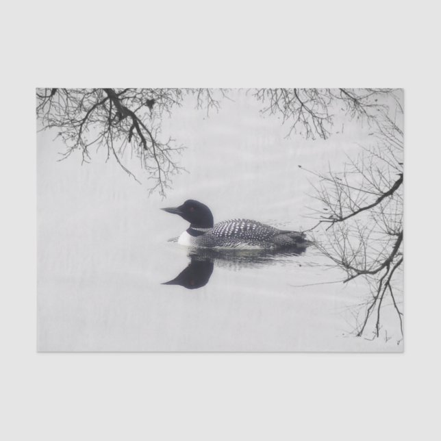 Common Loon Swims in a Northern Lake in Winter Tissue Paper (Front)