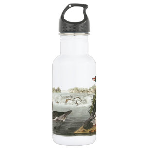 Common Merganser by Audubon 532 Ml Water Bottle