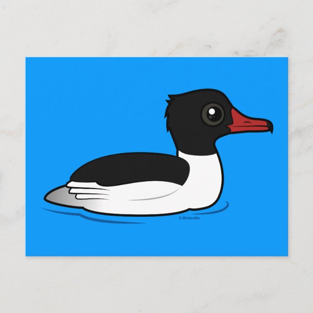 Common Merganser Postcard (Front)