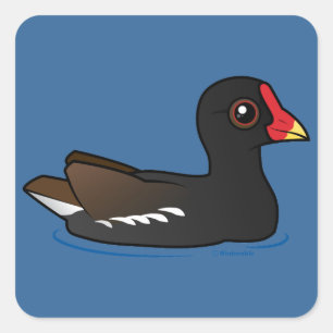 Common Moorhen Square Sticker