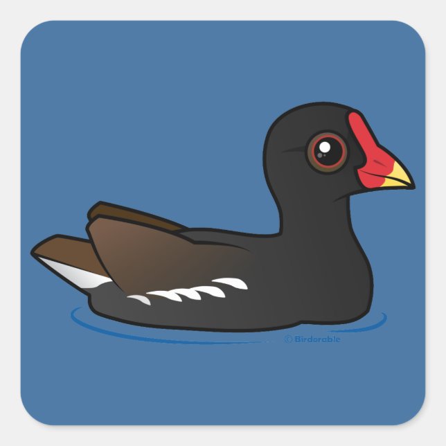 Common Moorhen Square Sticker (Front)