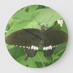 Common Mormon Butterfly Wall Clock