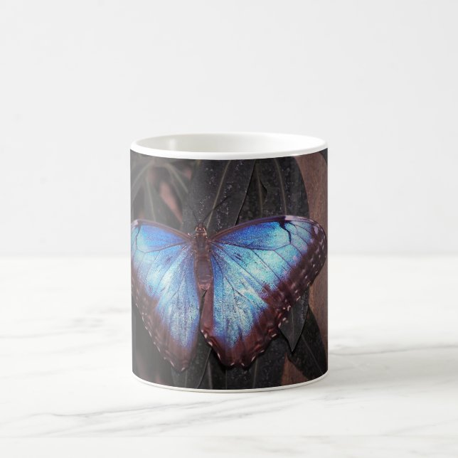 Common Morpho Butterfly Coffee Mug (Center)