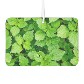 Common nettle car air freshener