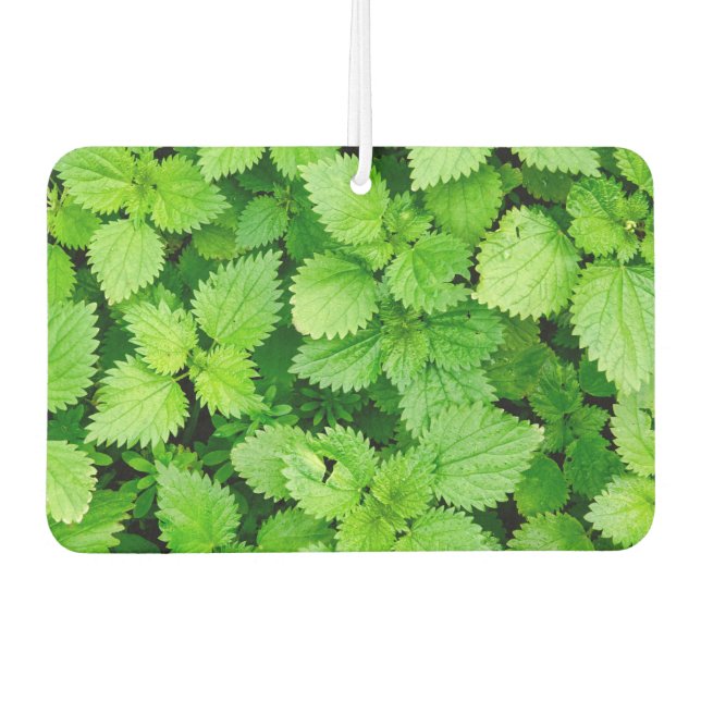 Common nettle car air freshener (Front)