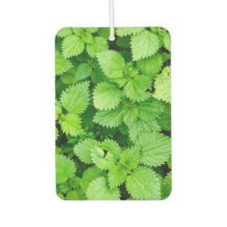 Common nettle car air freshener