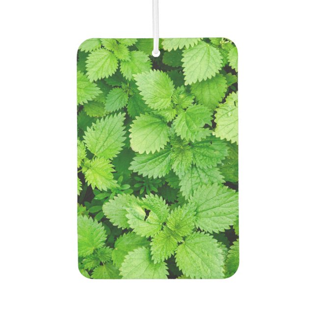 Common nettle car air freshener (Front)