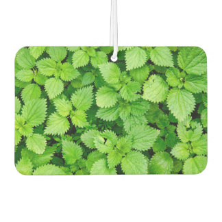 Common nettle car air freshener