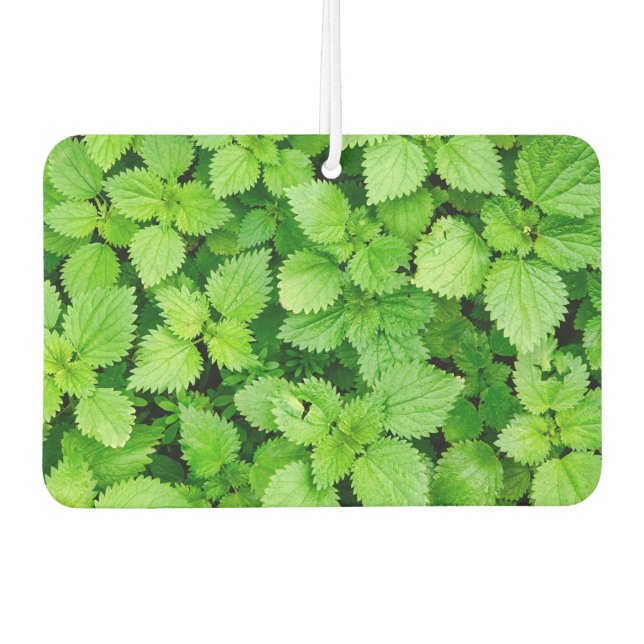 Common nettle car air freshener (Front)