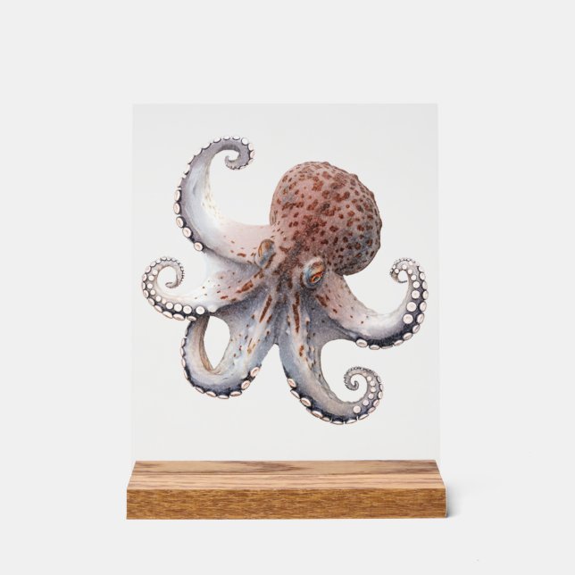 Common Octopus Desk Sign (Front)