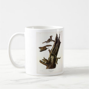 Common or Southern Flying Squirrel, or The Assapan Coffee Mug