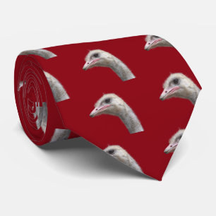 Common ostrich tie