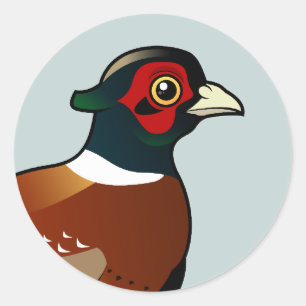 Common Pheasant Classic Round Sticker