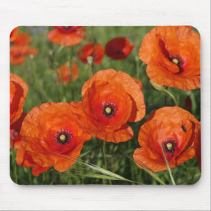 Common Poppies Mouse Mat