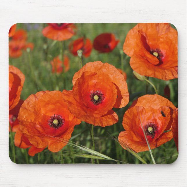 Common Poppies  Mouse Mat (Front)