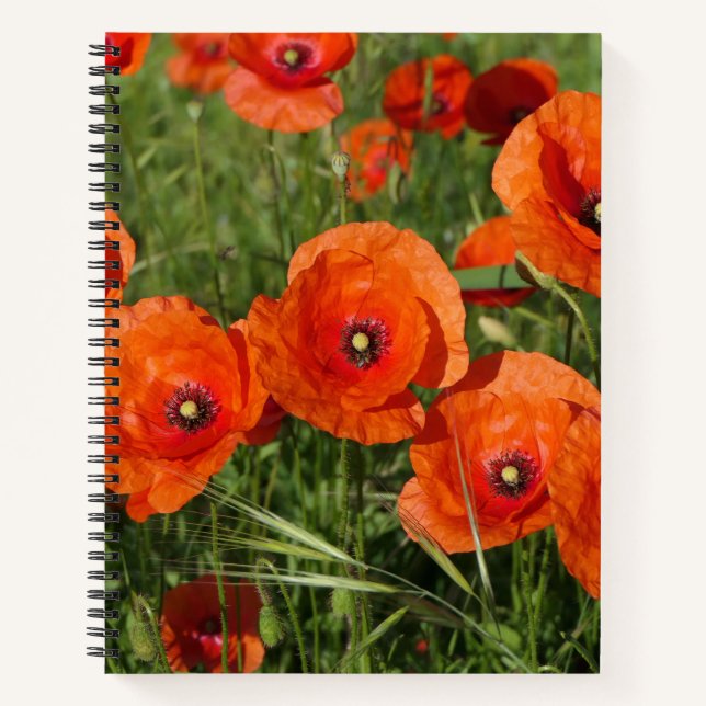 Common Poppies  Notebook (Front)