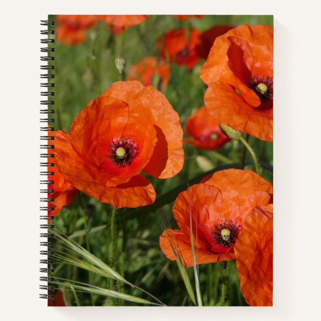 Common Poppies  Notebook (Front)