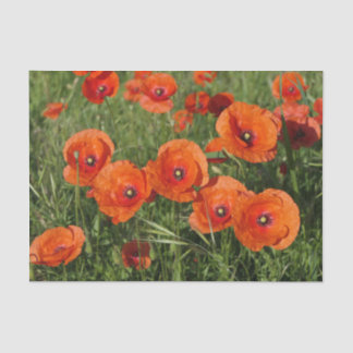 Common Poppies  Tissue Paper