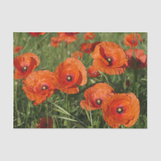 Common Poppies  Tissue Paper
