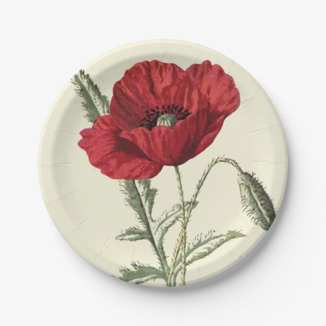 Common Poppy Vintage Botanical Illustration Paper Plate (Front)