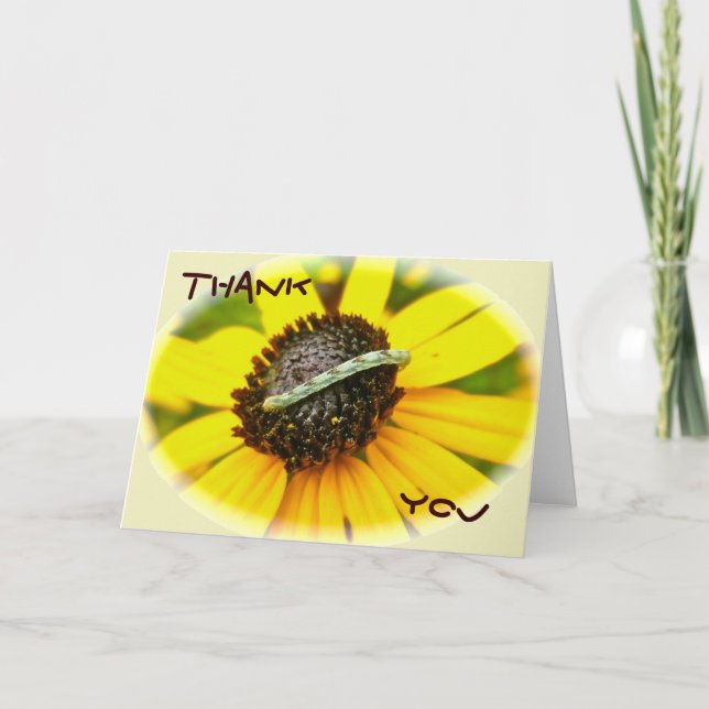 Common Pug Moth Caterpillar Coordinating Items Thank You Card (Front)
