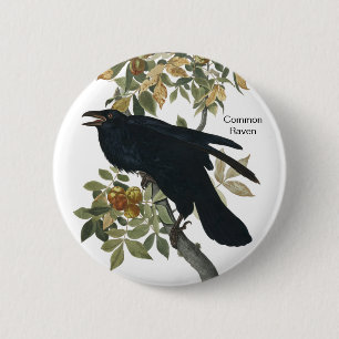 Common Raven by Audubon, Black Crow, Birdwatcher 6 Cm Round Badge