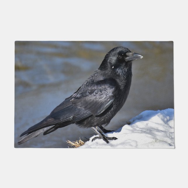 Common raven doormat (Front)