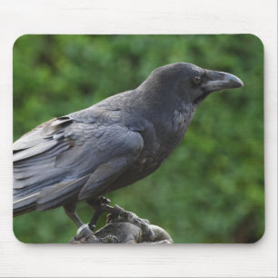 Common Raven Mouse Mat