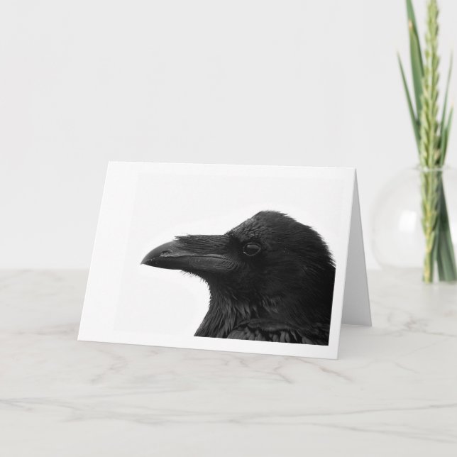 Common Raven Notecard (Front)