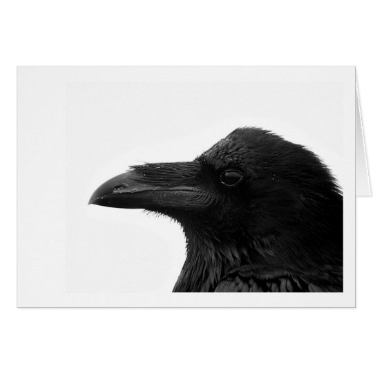 Common Raven Notecard