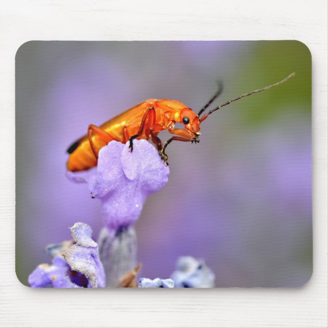 Common red soldier beetle mouse mat (Front)