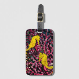 Common Sea Horse   Hippocampus Taeniopterus Luggage Tag