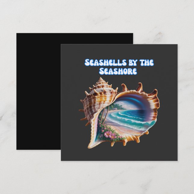 Common Seashell Colours (Front/Back)