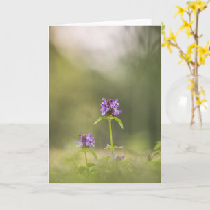 Common Self-Heal Nature Photo Card