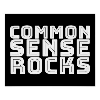 Common Sense - Logic Humour Poster