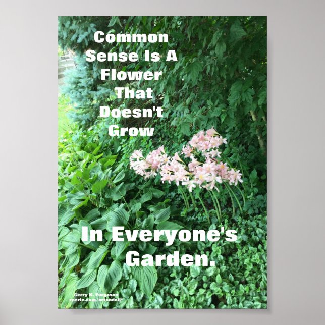 COMMON SENSE POSTER (Front)