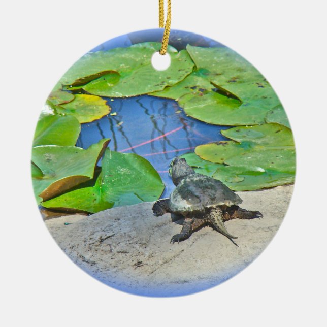 Common Snapping Turtle - Chelydra serpentina Ceramic Tree Decoration (Front)
