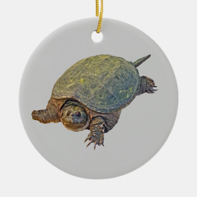 Common Snapping Turtle - Chelydra serpentina Ceramic Tree Decoration (Front)