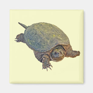 Common Snapping Turtle - Chelydra serpentina Magnet