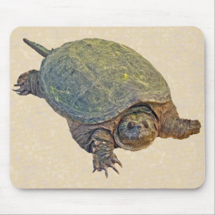 Common Snapping Turtle - Chelydra serpentina Mouse Mat