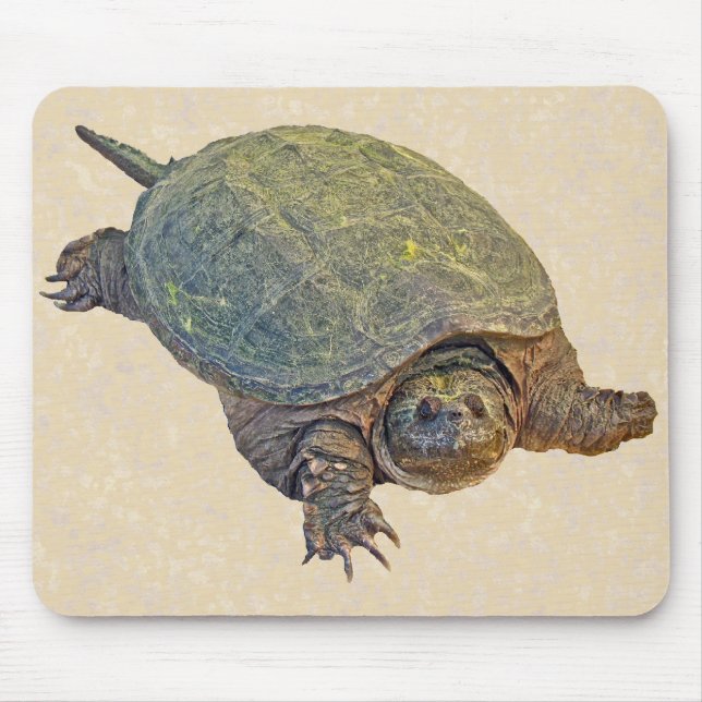 Common Snapping Turtle - Chelydra serpentina Mouse Mat (Front)