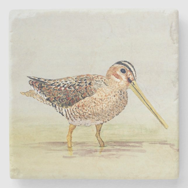 Common Snipe Coaster (Front)