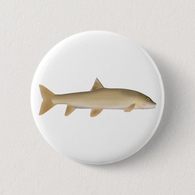 Common Snowtrout 6 Cm Round Badge (Front)