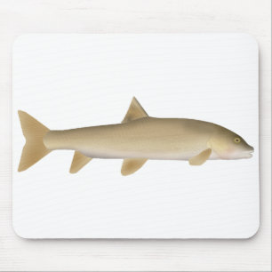 Common Snowtrout Mouse Mat